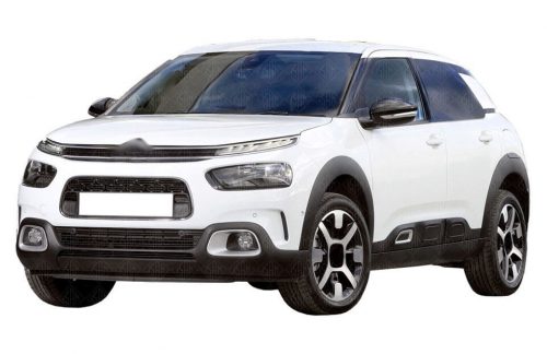 C4 CACTUS 2018-2020